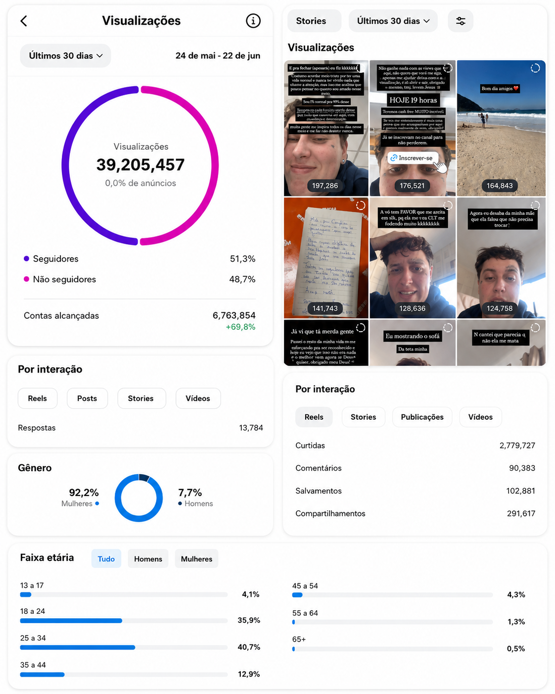 Montagem com prints dos insights e dados da Kah Perez